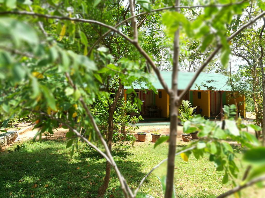 سيغيرِيا Sigiri La Veranda Lodge المظهر الخارجي الصورة