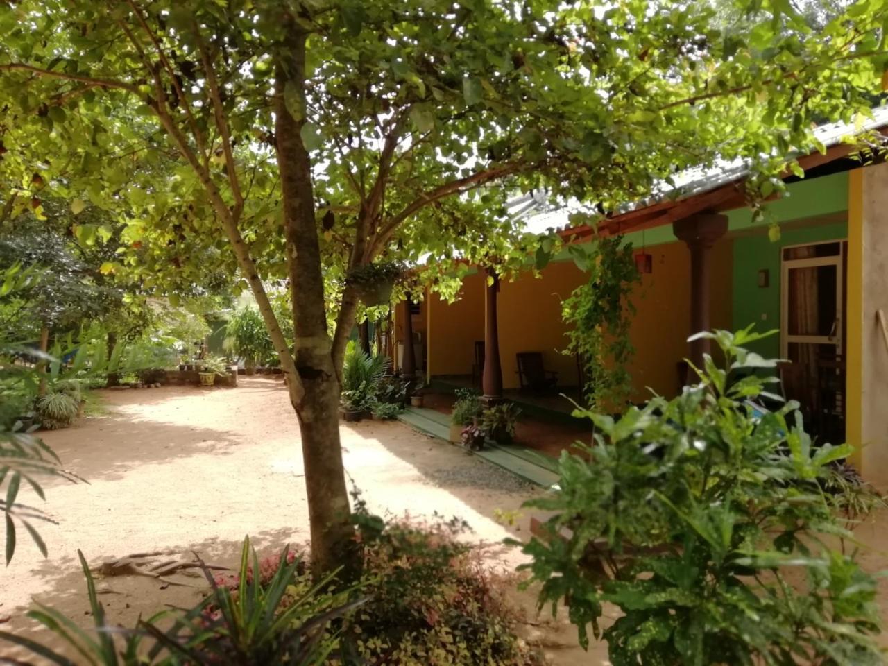 سيغيرِيا Sigiri La Veranda Lodge المظهر الخارجي الصورة